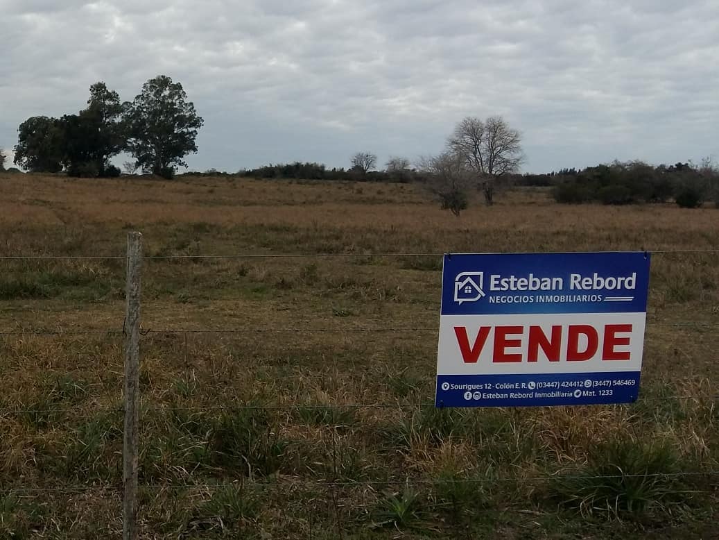 Se vende campo de 18 hectareas ZONA EJIDO MUNICIPAL COLON pasando escuela N°4 - foto 1
