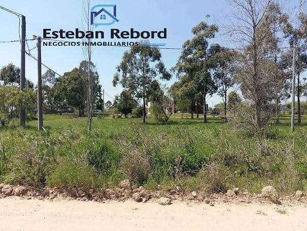 SE VENDE LOTE - foto 1