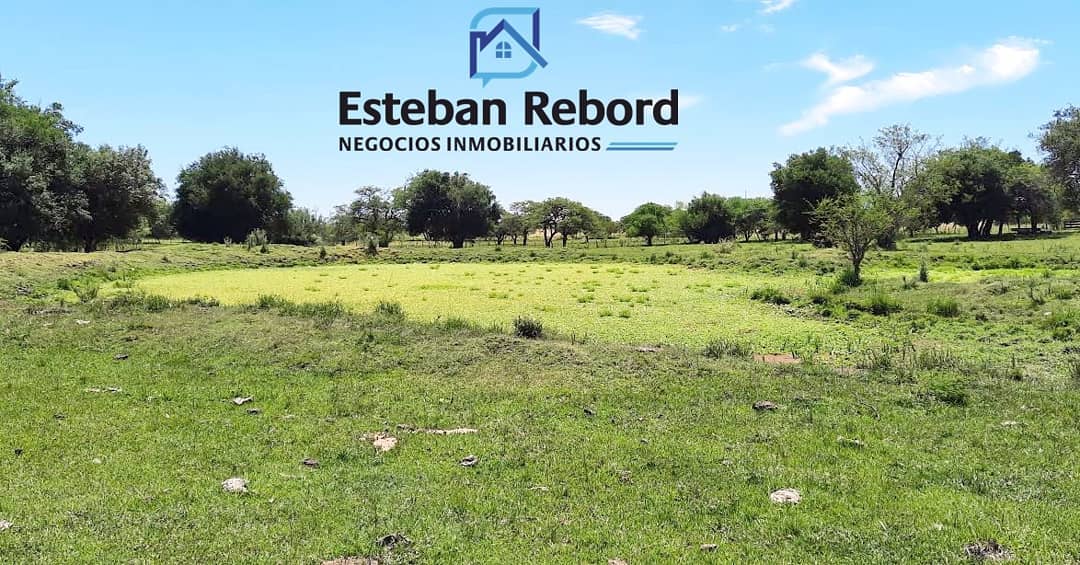 SE VENDE CAMPO DE 7.47 HECTÁREAS FRACCIONADO O EN 3 LOTES - foto 1