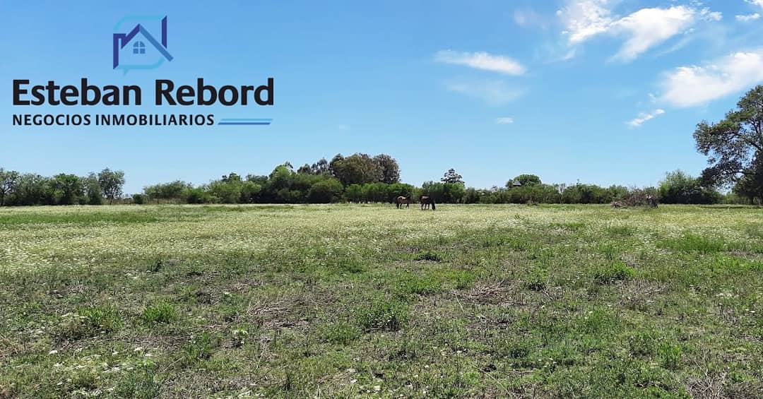 SE VENDE CAMPO DE 22,500 M2   ENTRE COLÓN Y SAN JOSE - foto 1