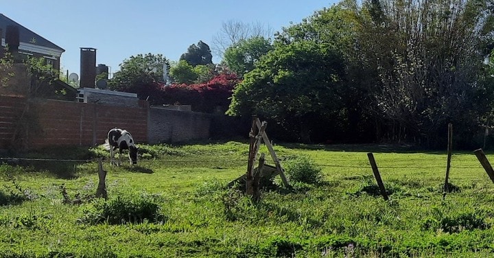 SE VENDE AMPLIO LOTE EN ZONA RESIDENCIAL DE COLÓN - foto 1