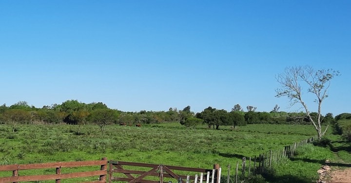 SE VENDEN LOTES EN EJIDO RURAL COLÓN - foto 1