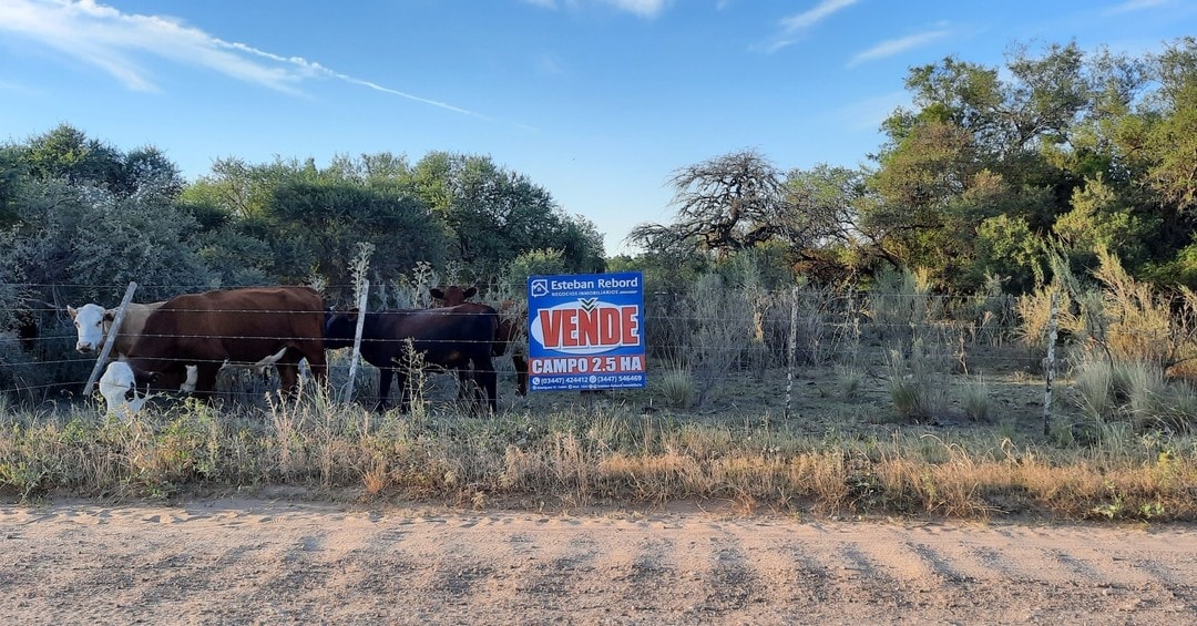SE VENDE CAMPO DE 2,5 HECTAREAS - foto 1