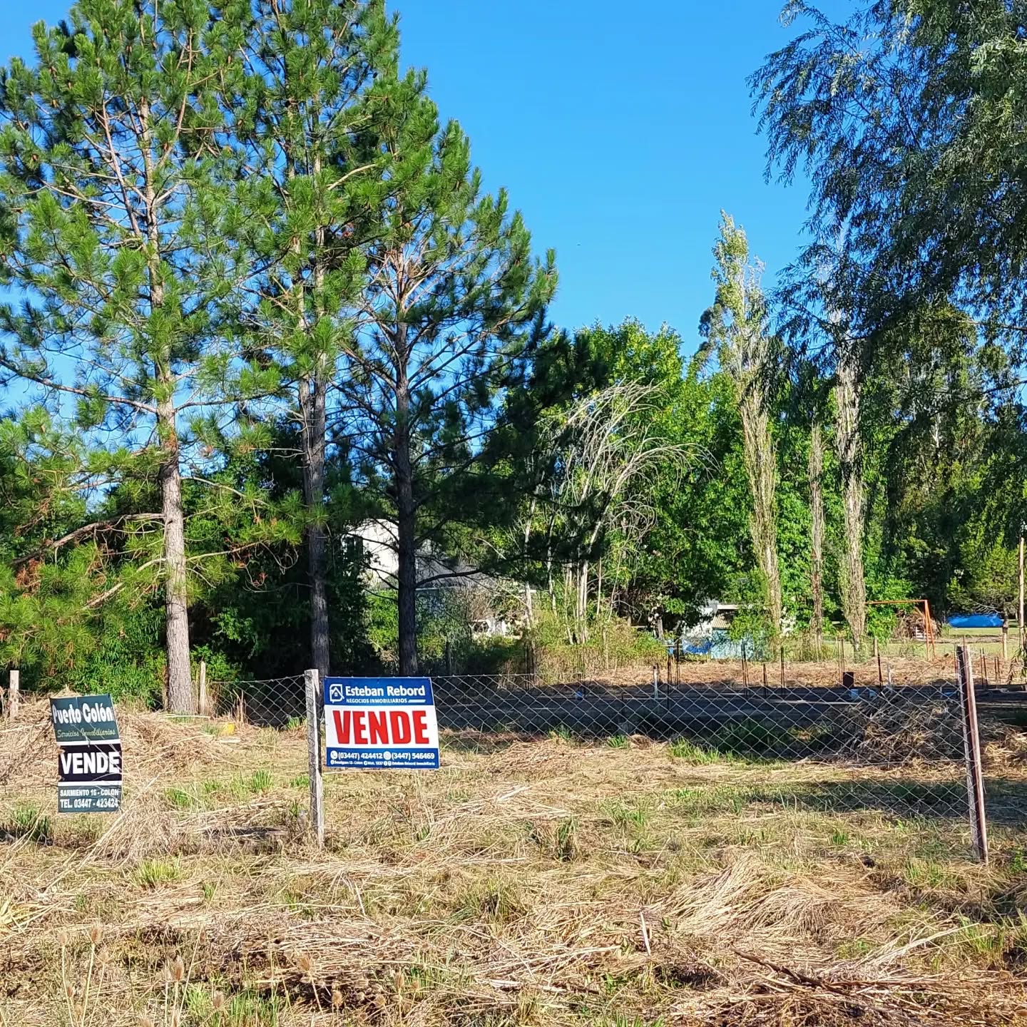 SE VENDE LOTE EN BARRIO LOS CEIBOS DE COLON - foto 1