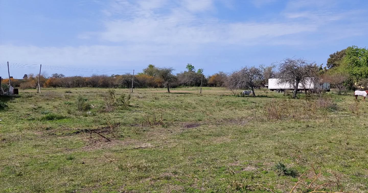 SE VENDE IMPORTANTE LOTE - foto 1