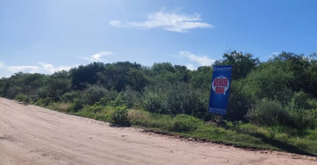 SE VENDEN LOTES EN EJIDO COLÓN - foto 1