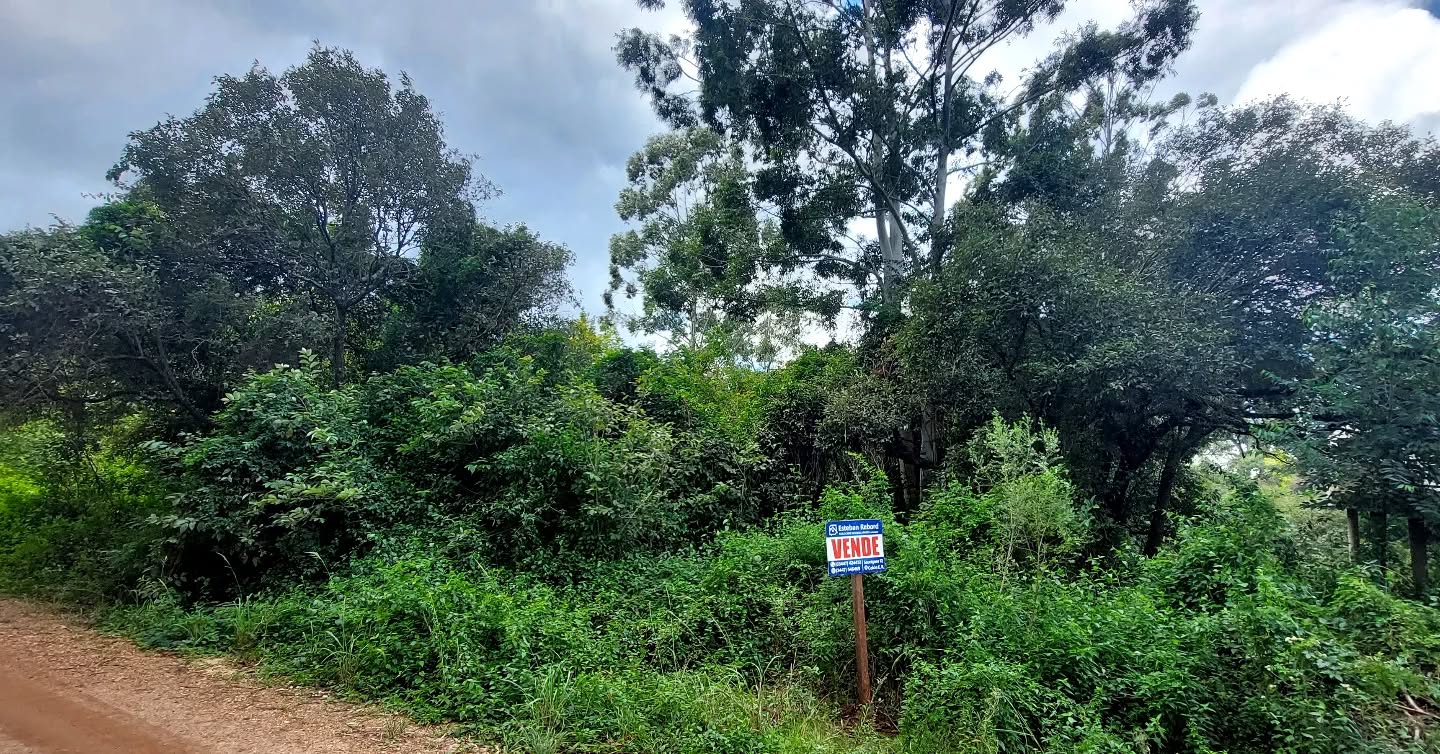 SE VENDE LOTE A METROS DEL RÍO URUGUAY - foto 1