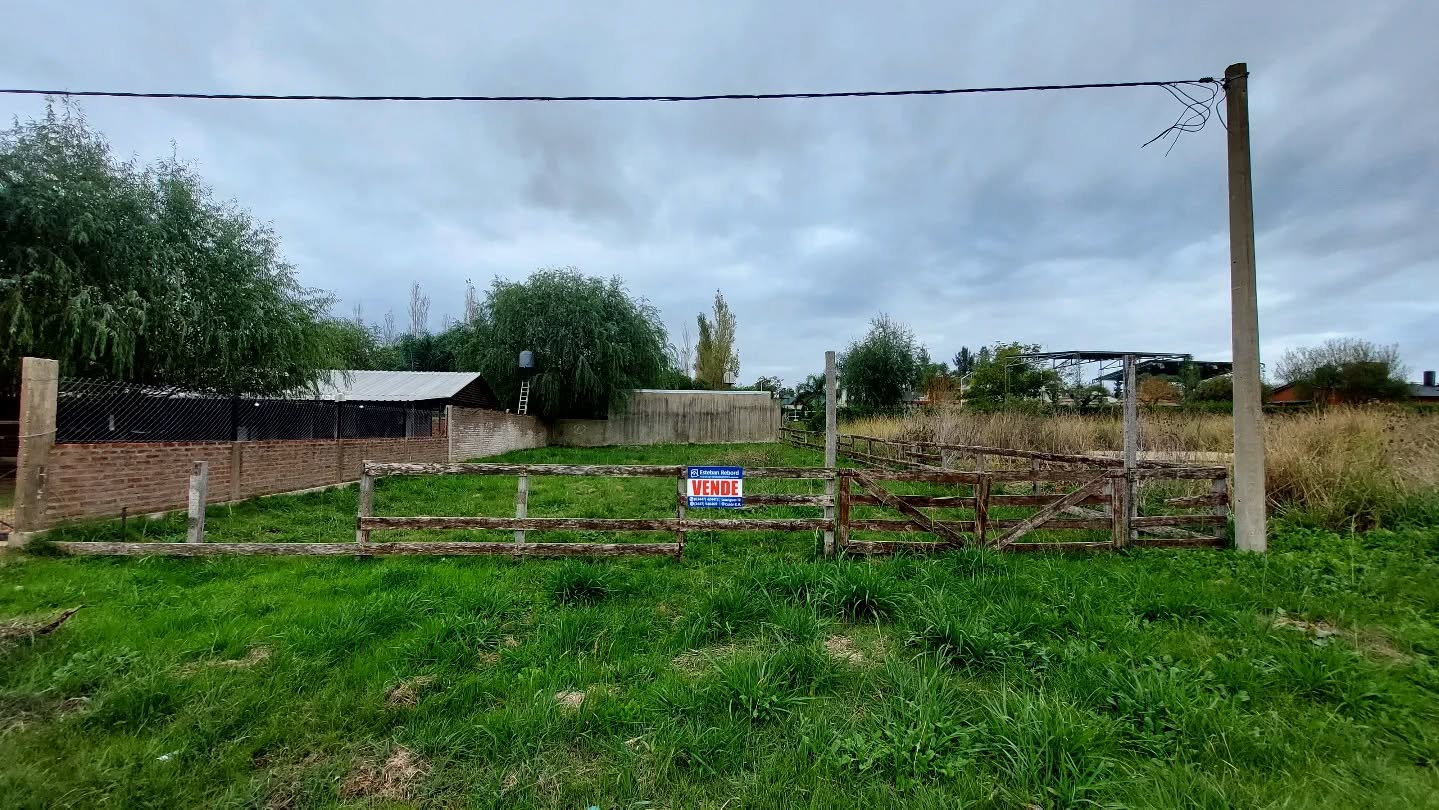 SE VENDE LOTE EN EJIDO DE COLÓN - foto 1