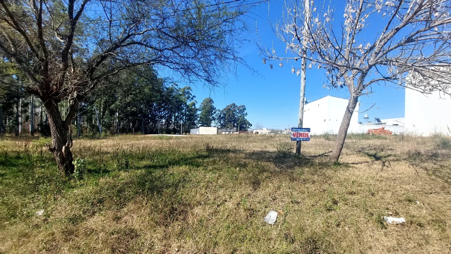 SE VENDE LOTE EN COLÓN - foto 1