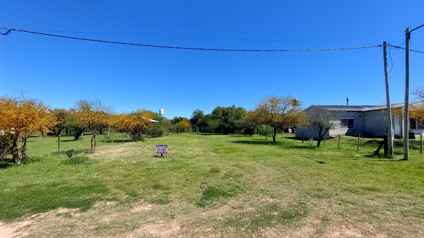 SE VENDE LOTE EN EJIDO DE COLÓN - foto 1