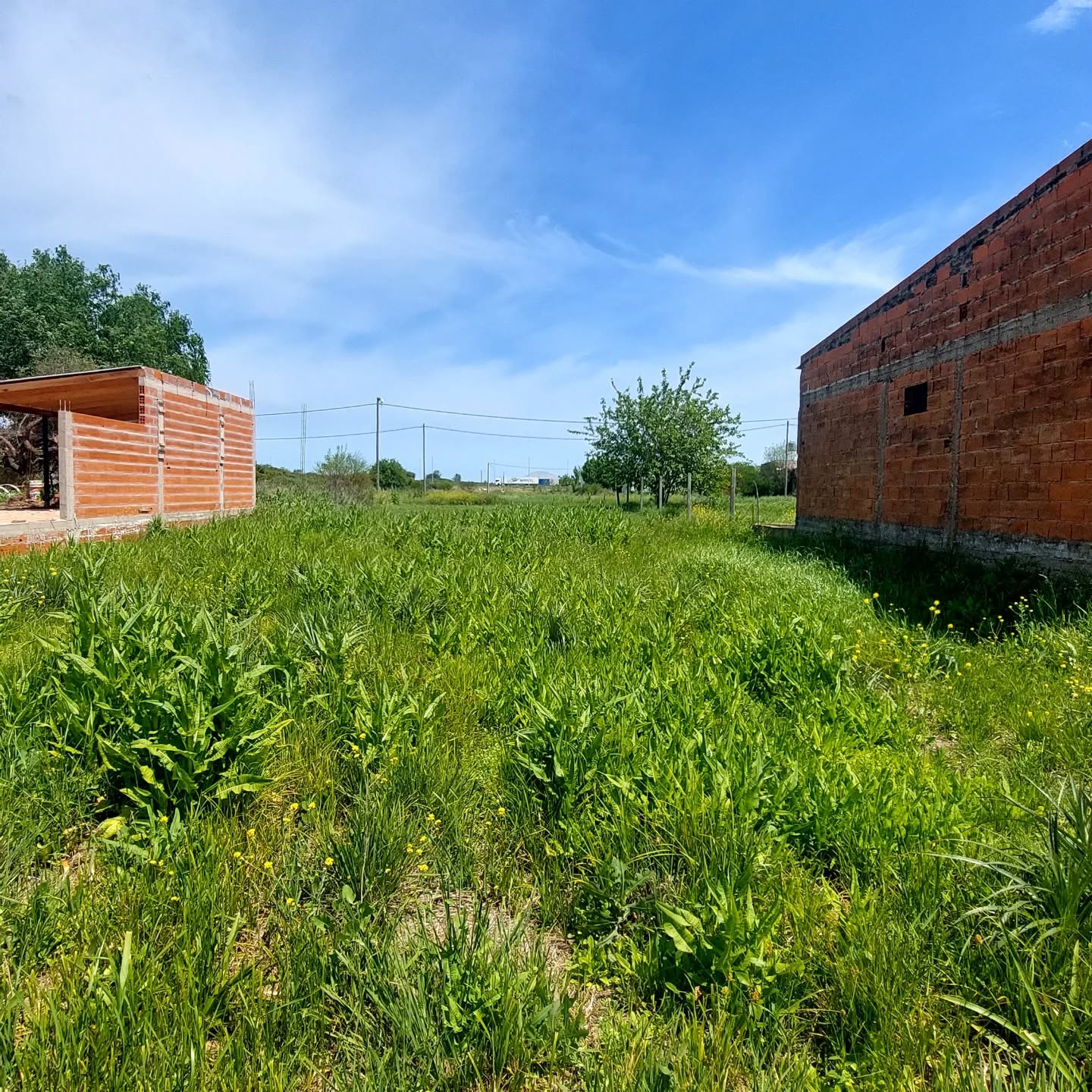 SE VENDE LOTE EN SAN JOSE - foto 1