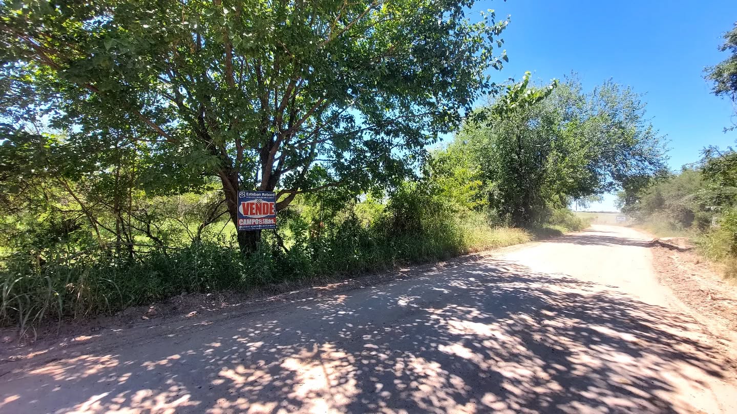 CAMPO EN VENTA - foto 1